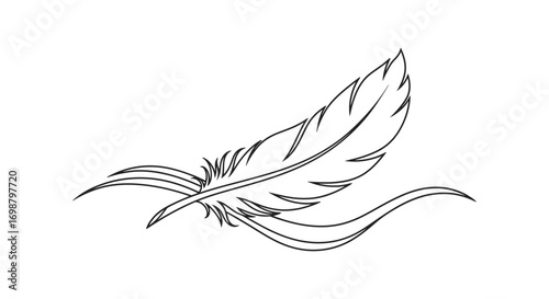 Vector art of elegant feather illustration, showcasing delicate lines and intricate details, perfect for adding a touch of sophistication