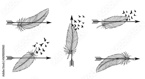 Vector art of collection of feathers pierced by arrows with flying birds, symbolizing freedom, journey, and transformation