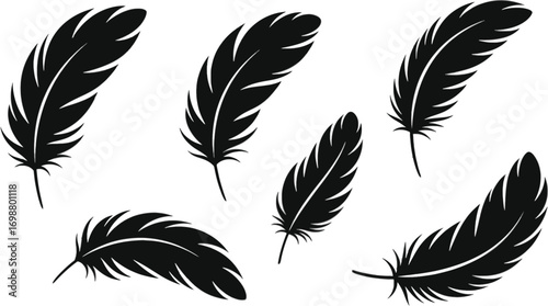 Vector art of collection of black feather illustrations, featuring various shapes and styles for graphic design and decoration