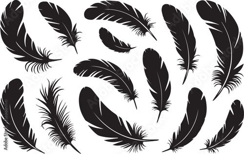 collection of black feather silhouettes vector design elements for boho decor and nature inspired patterns