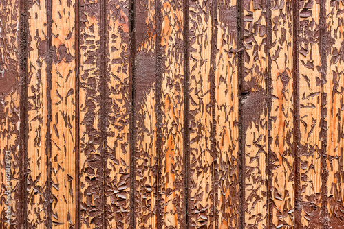 Old peeling brown paint with abstract wooden surface texture, background