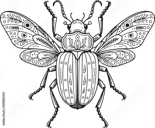 Black and white line art illustration of a beetle with ornate wings and body insect