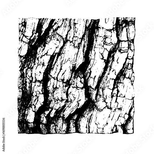 Detailed black and white texture of a tree bark with deep grooves and rough surface appearance shown