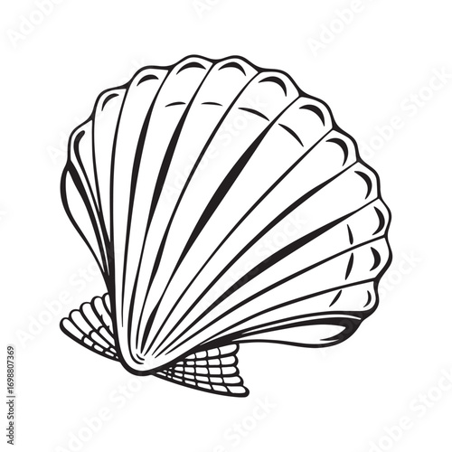 Open fan shaped clam shell silhouette illustration