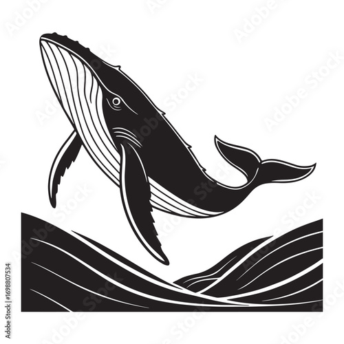 Majestic whale with a large body silhouette