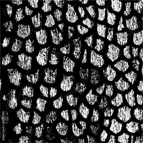 Monochrome image showing a cellular pattern with irregular white shapes on a black background texture