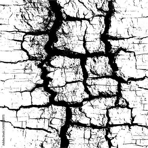 Distressed surface with deep cracks and fissures creating a textured abstract black and white pattern
