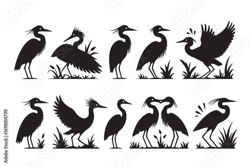 Black silhouettes of herons and egrets in various poses