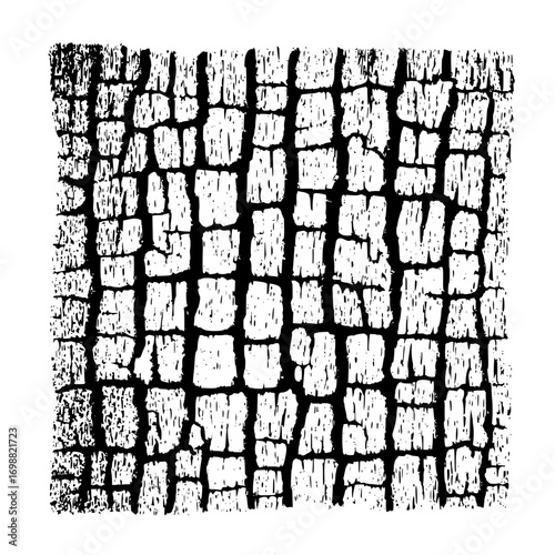 Monochrome image showing a close up of tree bark with deep fissures and irregular rectangular patterns
