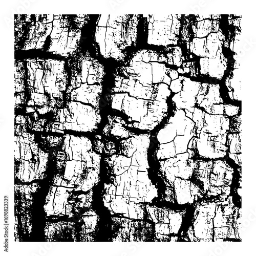 Close up view of a tree bark texture with deep cracks and crevices in black and white monochrome style