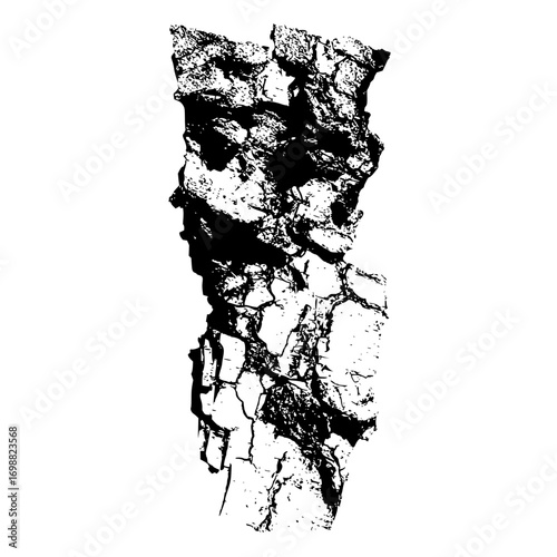 Isolated black and white image of a tree bark section with detailed cracks and rough texture showing detail