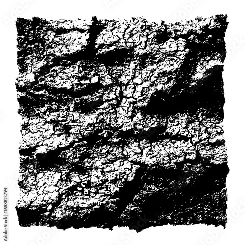 Black and white abstract image showing a rough textured surface with cracks and irregular shapes pattern