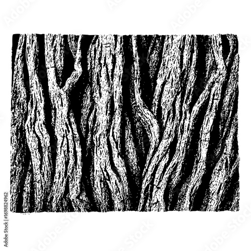 A detailed monochrome rendering of tree bark showcasing deep furrows and intricate patterns in black and white