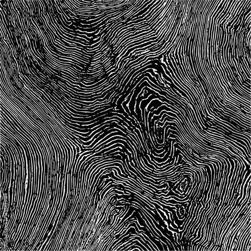 Abstract topographic map with contour lines in black and white showing elevation and terrain variation