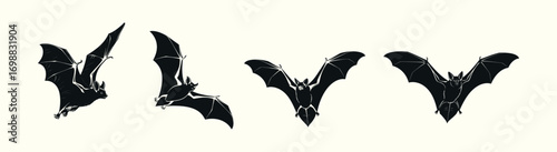 A spooky black bat in various flight phases, creating a seamless animation sequence for Halloween or gothic-themed designs. Vector illustration of a flying nocturnal mammal