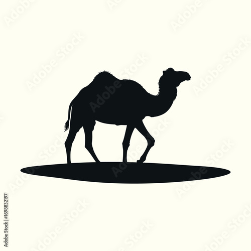 Silhouette of a Camel Walking in the Desert on a Plain Background