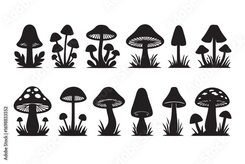 Black silhouette mushroom collection with grass white