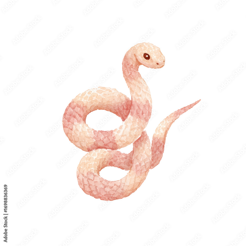 Obraz premium Illustrated pink snake on black background with coiled body and serene expression