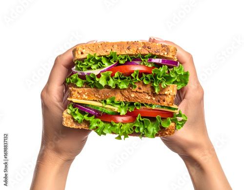 Woman's hands holding a sandwich, isolated on white