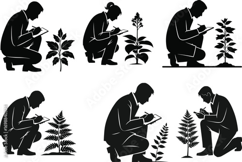 Botanist or researcher analyzing plants, silhouette vector illustration of scientists taking notes, environmental research and botanical science concept art.