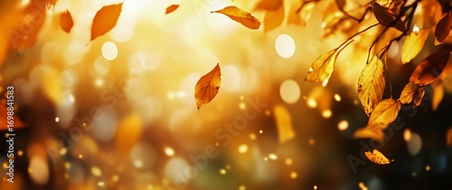 Falling Orange Leaves Float in the Air During Autumn Sunlight, Forest.