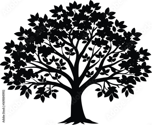 Hawthorn Tree Silhouette Illustration | Hawthorn Tree Outline Vector