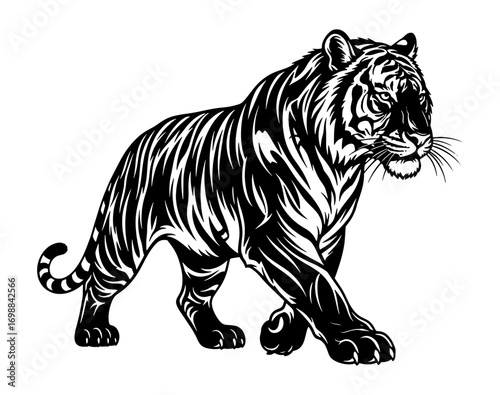 Majestic tiger walking fiercely detailed black and white line art design