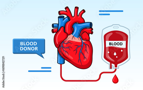 Human heart connected to blood bag for donation and transfusion medical concept
