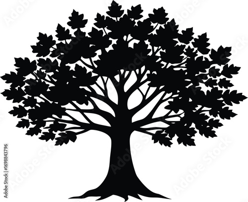 Sycamore Tree Silhouette Illustration | Sycamore Tree Outline Vector