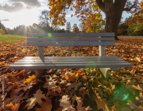 Empty Park Bench Surrounded by Autumn Leaves at Sunset