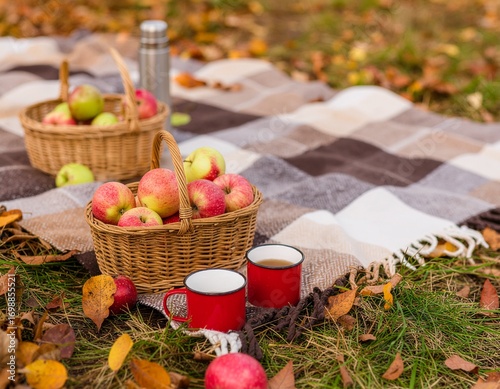 Autumn Picnic Setup with Apples, Mugs and Blanket in Nature