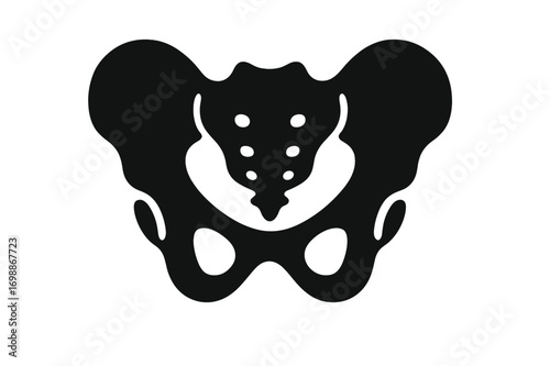 Pelvic bone silhouette showcasing anatomical features in a minimalistic design for educational purposes
