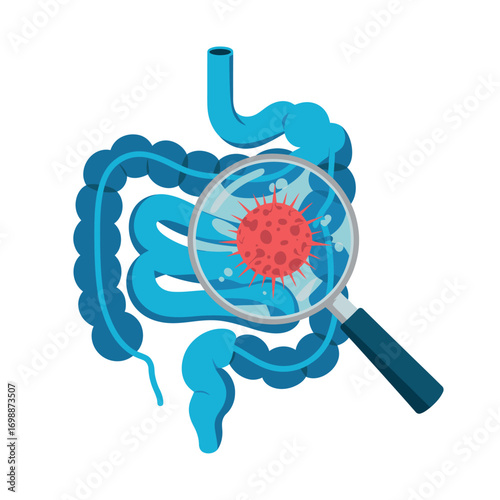 Magnifying glass examining a virus within the human intestines