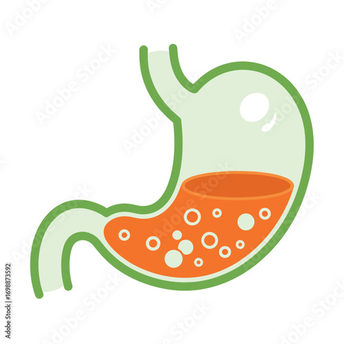 Illustration of a human stomach with digestive fluid and bubbles