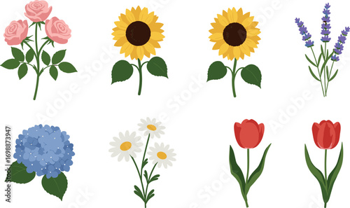 Isolated vector illustration of eight different flower types on transparent background