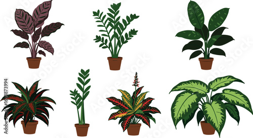 Collection of six potted houseplants on white background on transparent background