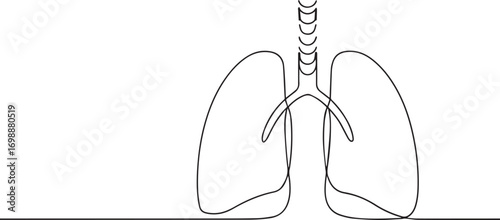 human lungs continuous one continuous line art, Vector illustration, One line art, Line art graphic style.