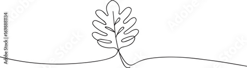 Monstera Leaf continuous one continuous line art, Vector illustration, One line art, Line art graphic style.