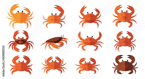 Collection of Flat Design Crab Illustrations in Various Orange and Brown Tones.