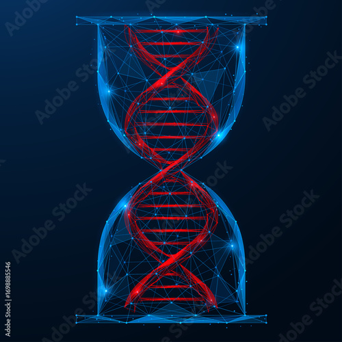 The genetic clock. An hourglass with a DNA spiral inside instead of sand. The concept of the passage of time, life and aging. Polygonal design, blue background.