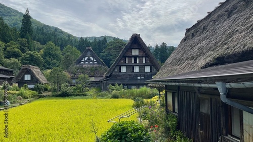 白川郷