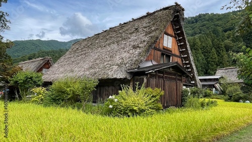 白川郷