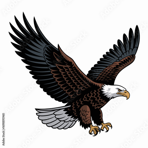 Flying Bald Eagle Illustration