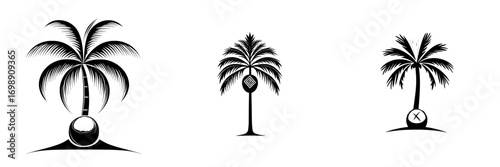 The silhouette of a palm tree, complete with a solitary coconut, stands out against a stylized ocean horizon