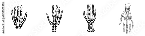 A bold, minimalist hand skeleton illustration, rendered in black, provides a striking visual representation of anatomy and human form, known as Skeleton Hand