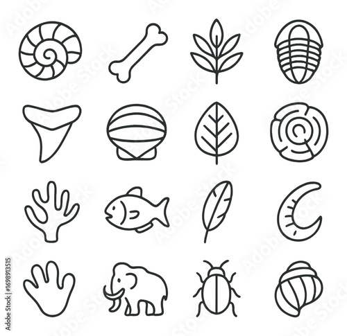 Paleontology linear icon set. featuring ammonite, bone, leaf, trilobite, shark tooth, fish, and mammoth symbols