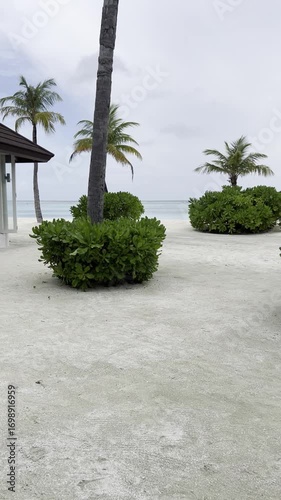 Maldives Paradise: Serene Tropical Island Video