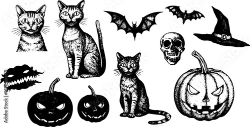 Creepy Halloween cat collage element with vintage stippling photocopy effect. Retro vector illustration for psychedelic surreal poster, with experimental grunge dotted texture