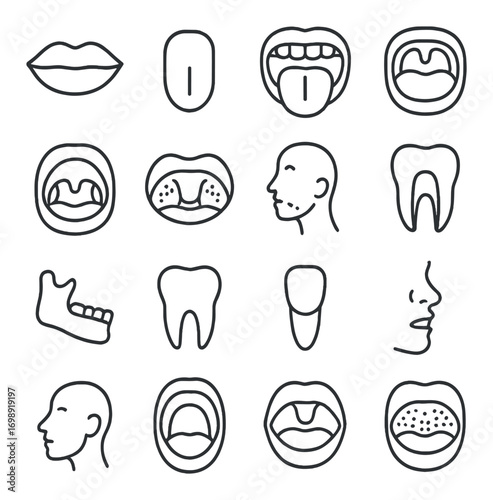 Anatomy linear icon set. featuring lips, tongue, mouth, teeth, jaw, face, and profile symbols