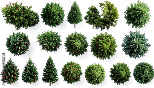 Collection of Christmas tree tops